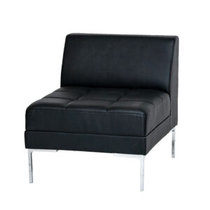Flash-Black LeatherSoft Upholstery & Stainless Legs