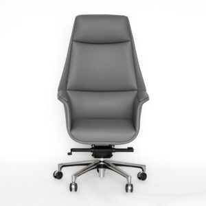 Neo Front Gray